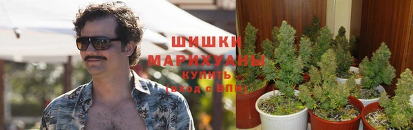 МДПВ Верхний Тагил