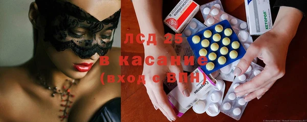 твердый Бородино