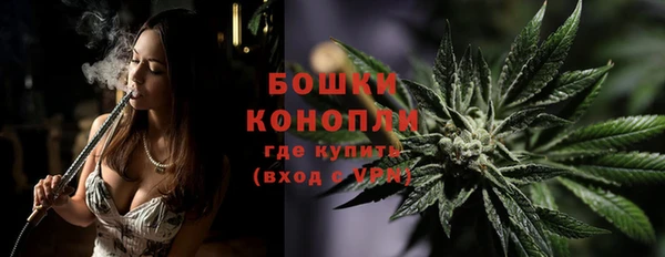 дурь Бронницы