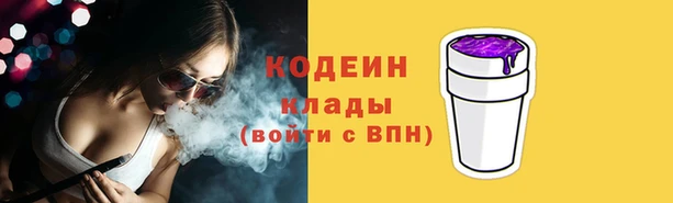 твердый Бородино