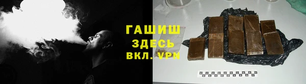твердый Бородино