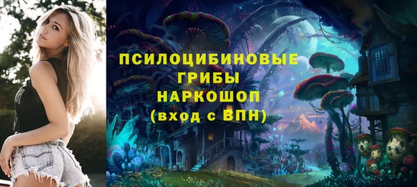 прущий лед Верея