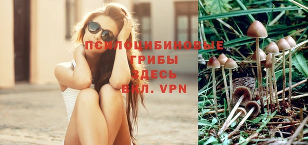 прущий лед Верея