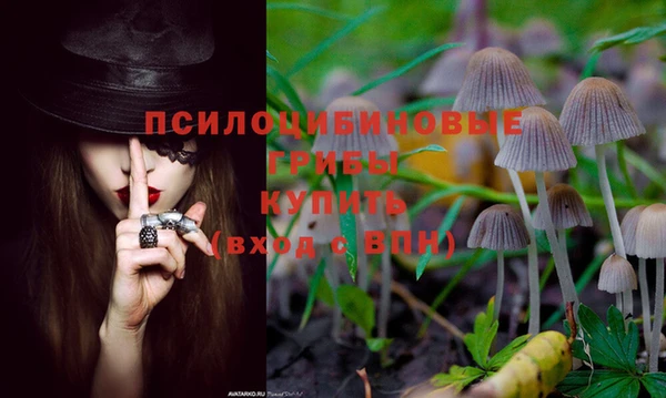 твердый Бородино